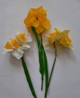 Narcis 3 květy stonek 30cm